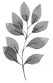 Gluecksmomente_Blumen_Elemente_01_Zeiche