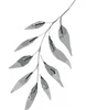Gluecksmomente_Blumen_Elemente_02_Zeiche
